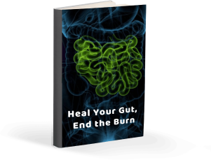 Heal Your Gut, End The Burn (2)